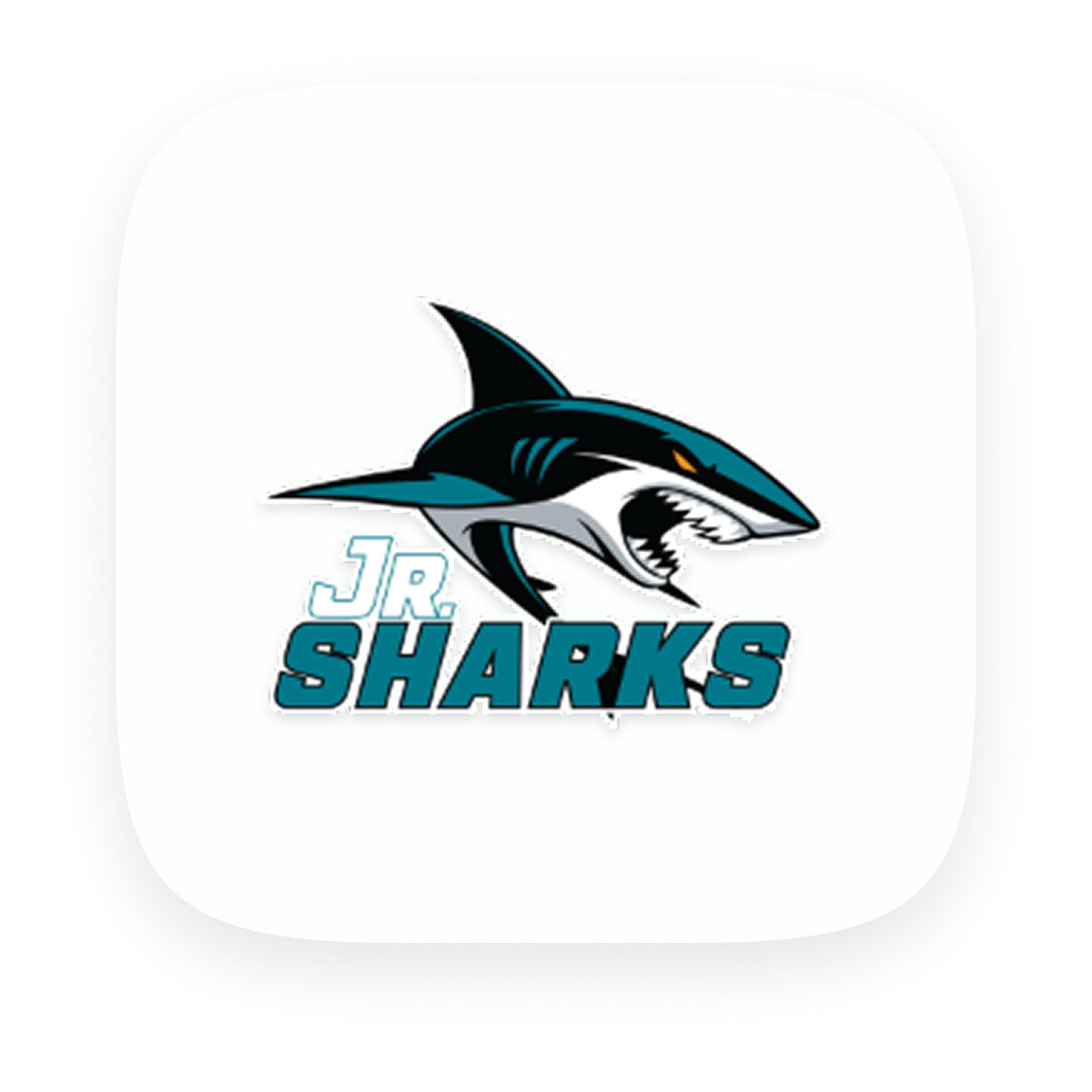 San Jose Jr Sharks